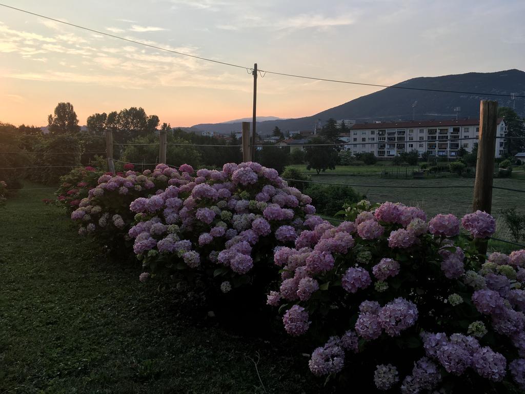 Apartment Nova Gorica - Nocitve Falco Exterior photo